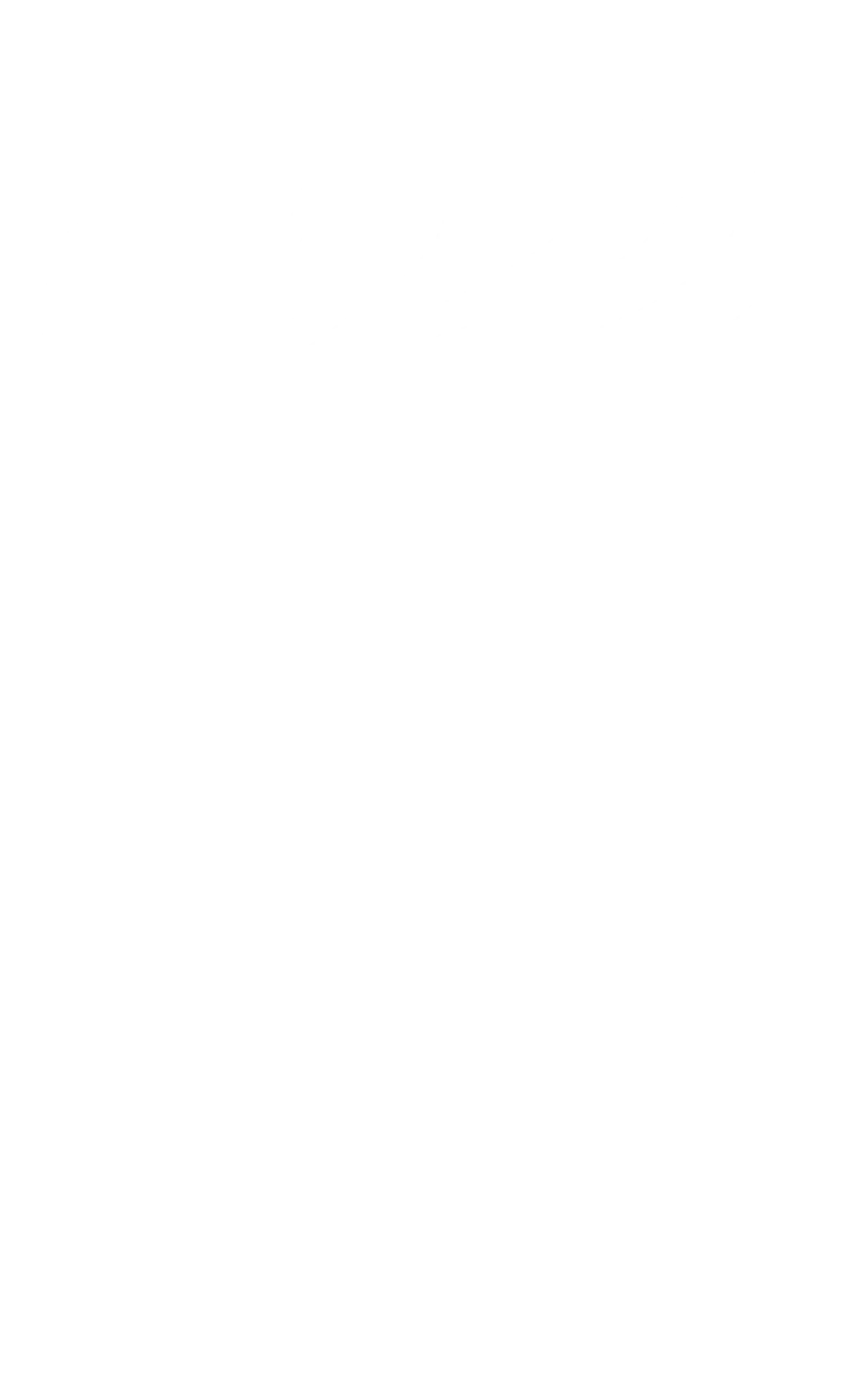 Mujer Fenix